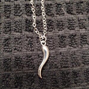 ITALIAN HORN PENDANT ON CHAIN (NWT)